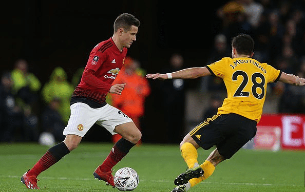 目的运动 目的运动